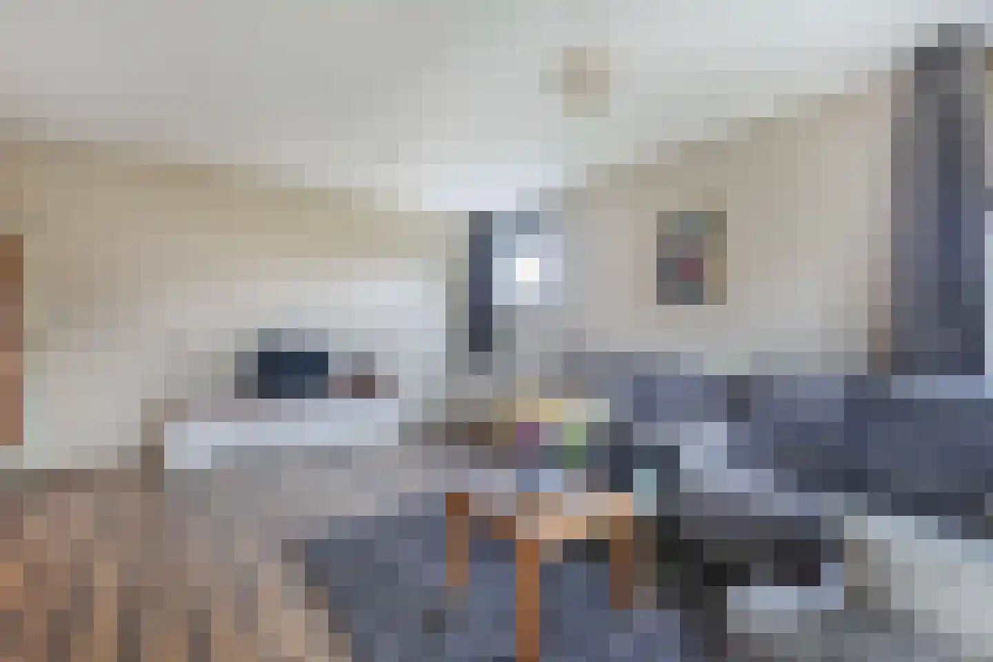 Kleasterwei 5 Akkrum thumbnail 8
