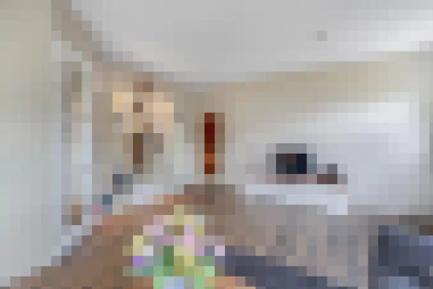 Kleasterwei 5 Akkrum thumbnail 9