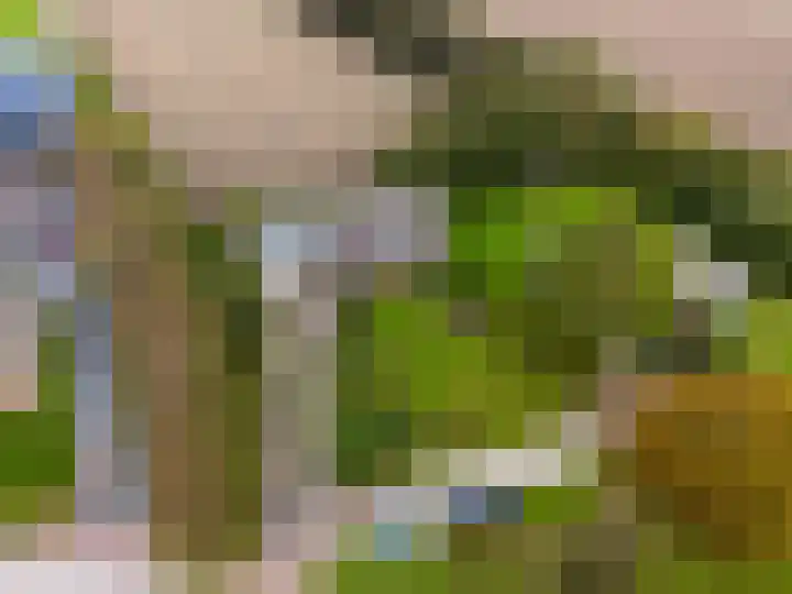 Kleasterwei 5 Tzummarum thumbnail 11