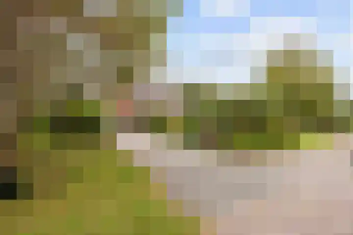 Kleasterwei 5 Tzummarum thumbnail 15