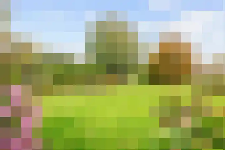 Kleasterwei 5 Tzummarum thumbnail 18