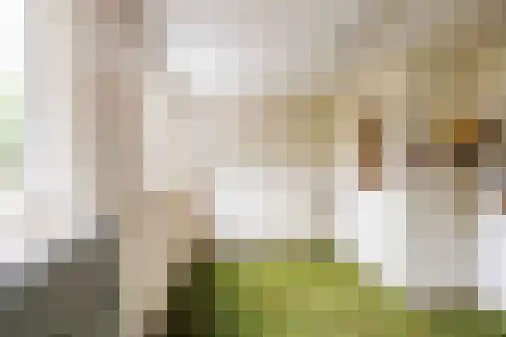 Kleasterwei 5 Tzummarum thumbnail 40