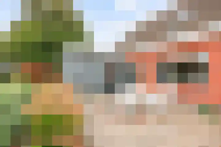 Kleasterwei 5 Tzummarum thumbnail 6