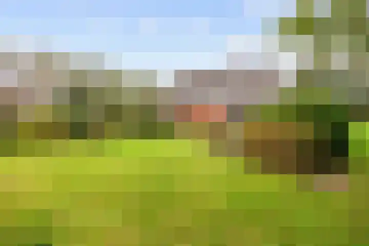 Kleasterwei 5 Tzummarum thumbnail 8