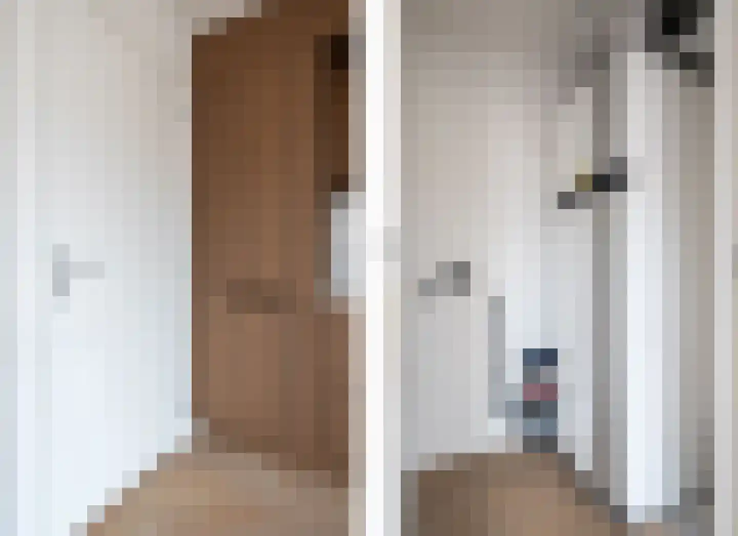 Kleef 1 B Akkrum thumbnail 18