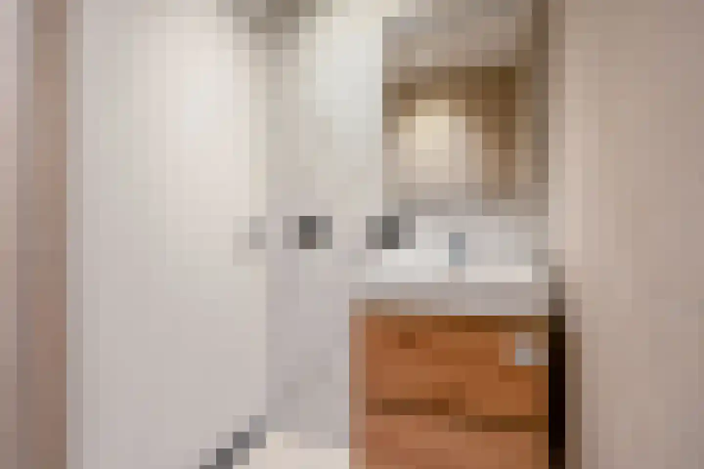 Kleef 1 B Akkrum thumbnail 22