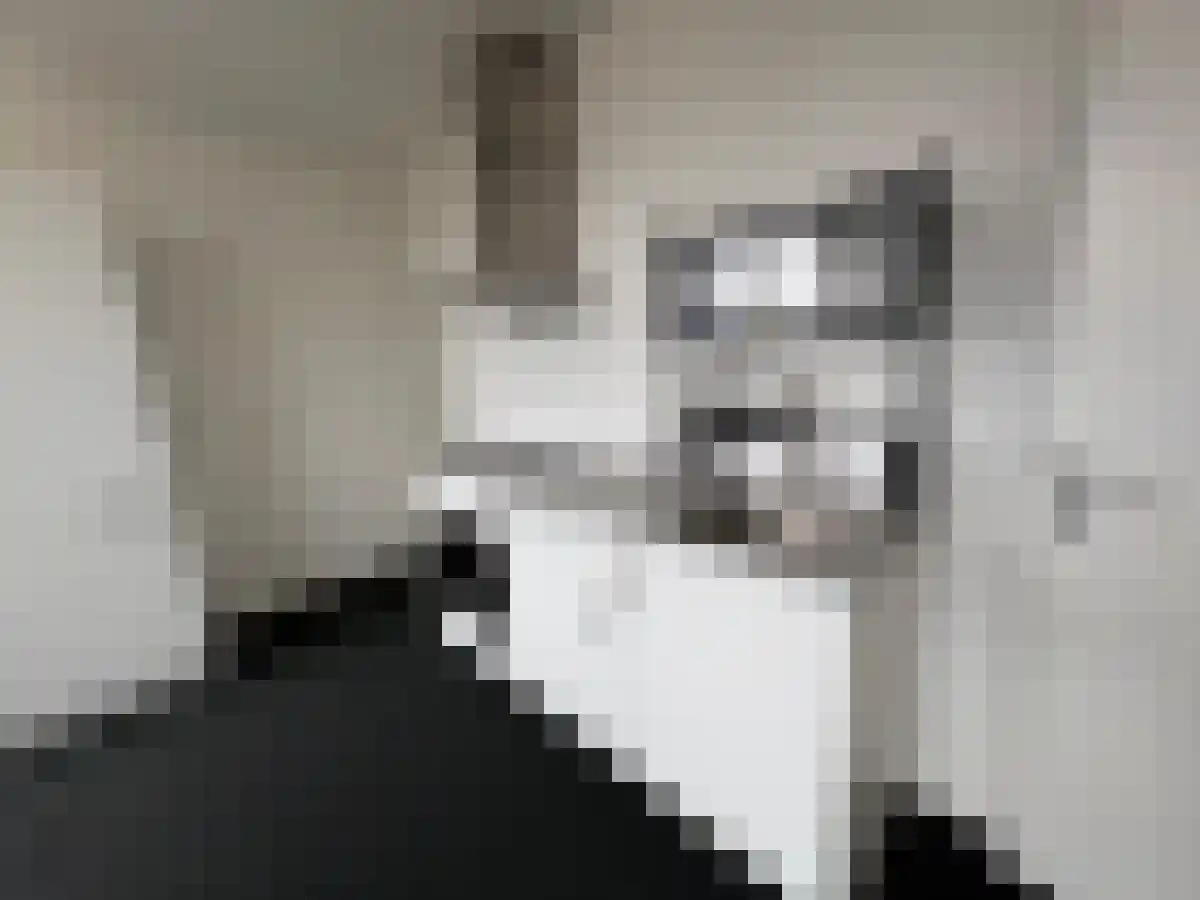 Kleef 3 Akkrum thumbnail 5