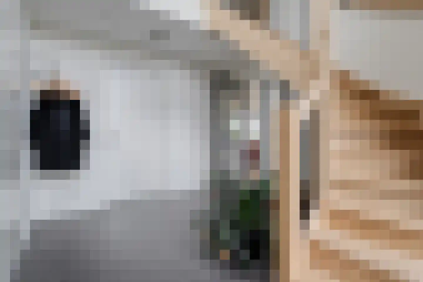 Kleefegge 23 Zuidwolde thumbnail 17