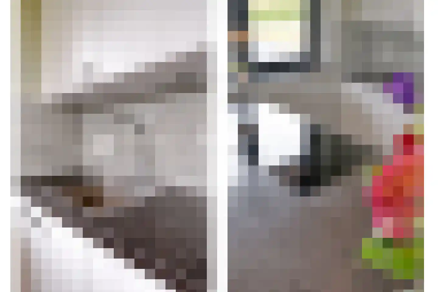 Kleefegge 23 Zuidwolde thumbnail 27