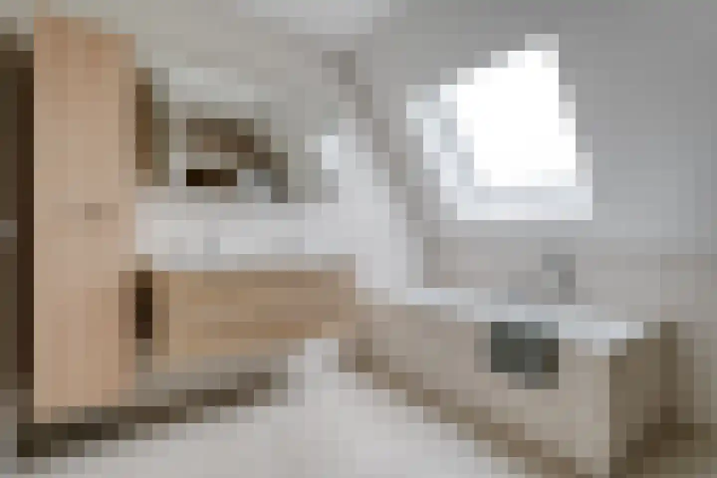 Kleefegge 23 Zuidwolde thumbnail 53