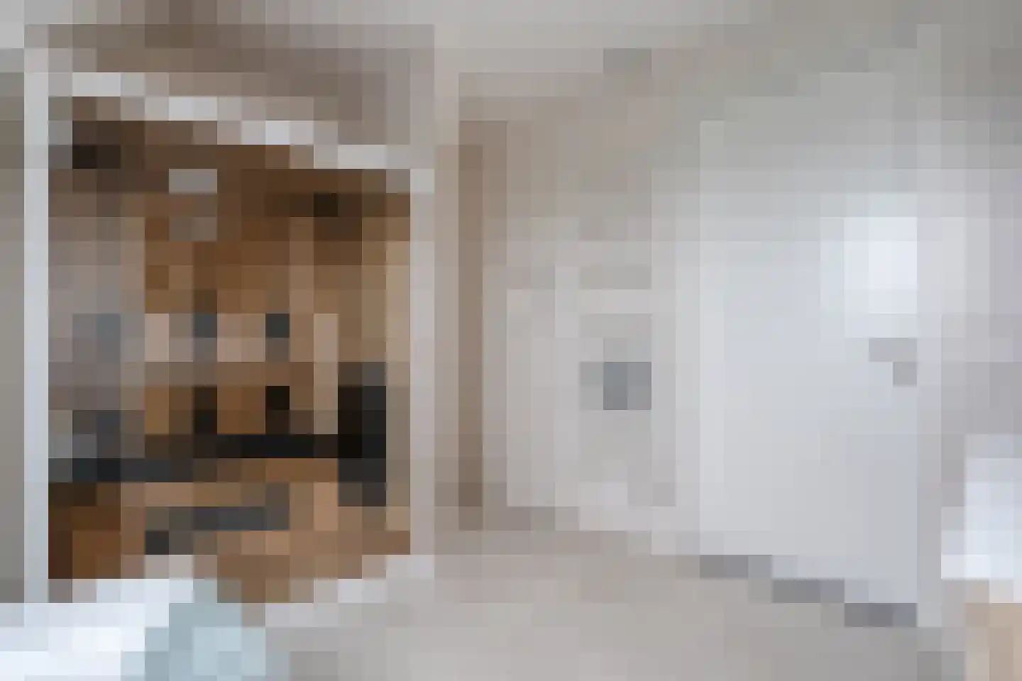 Kleefegge 23 Zuidwolde thumbnail 54