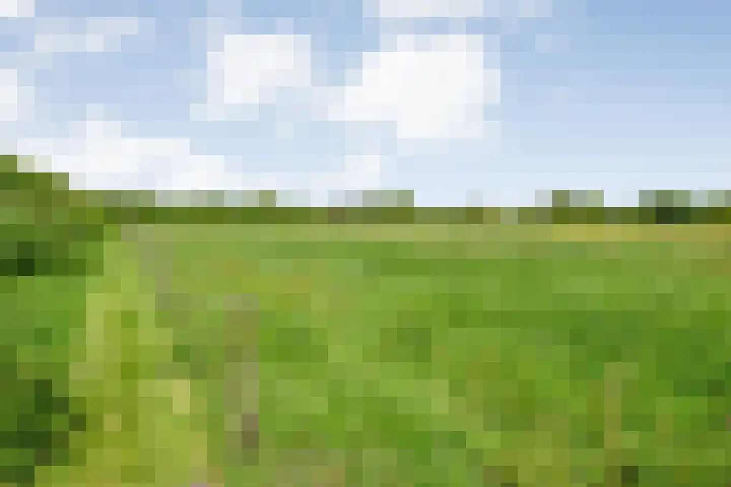 Kleefegge 23 Zuidwolde thumbnail 63