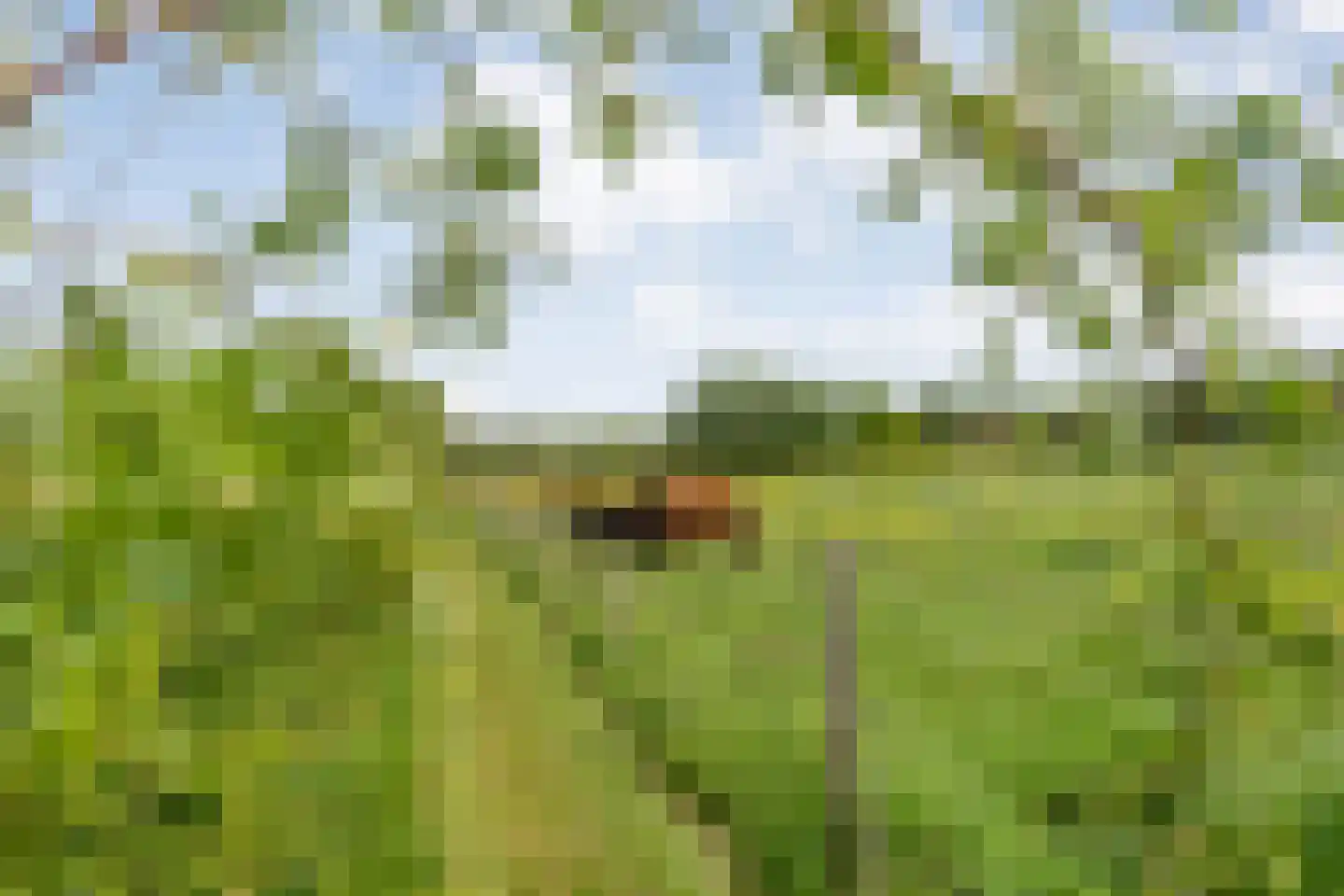 Kleefegge 23 Zuidwolde thumbnail 65