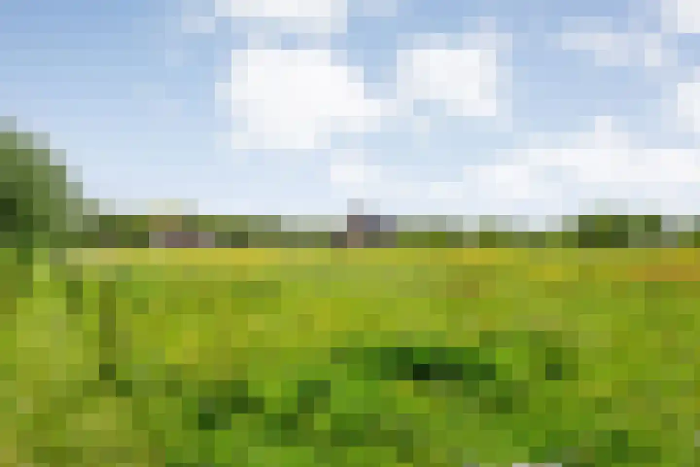 Kleefegge 23 Zuidwolde thumbnail 66