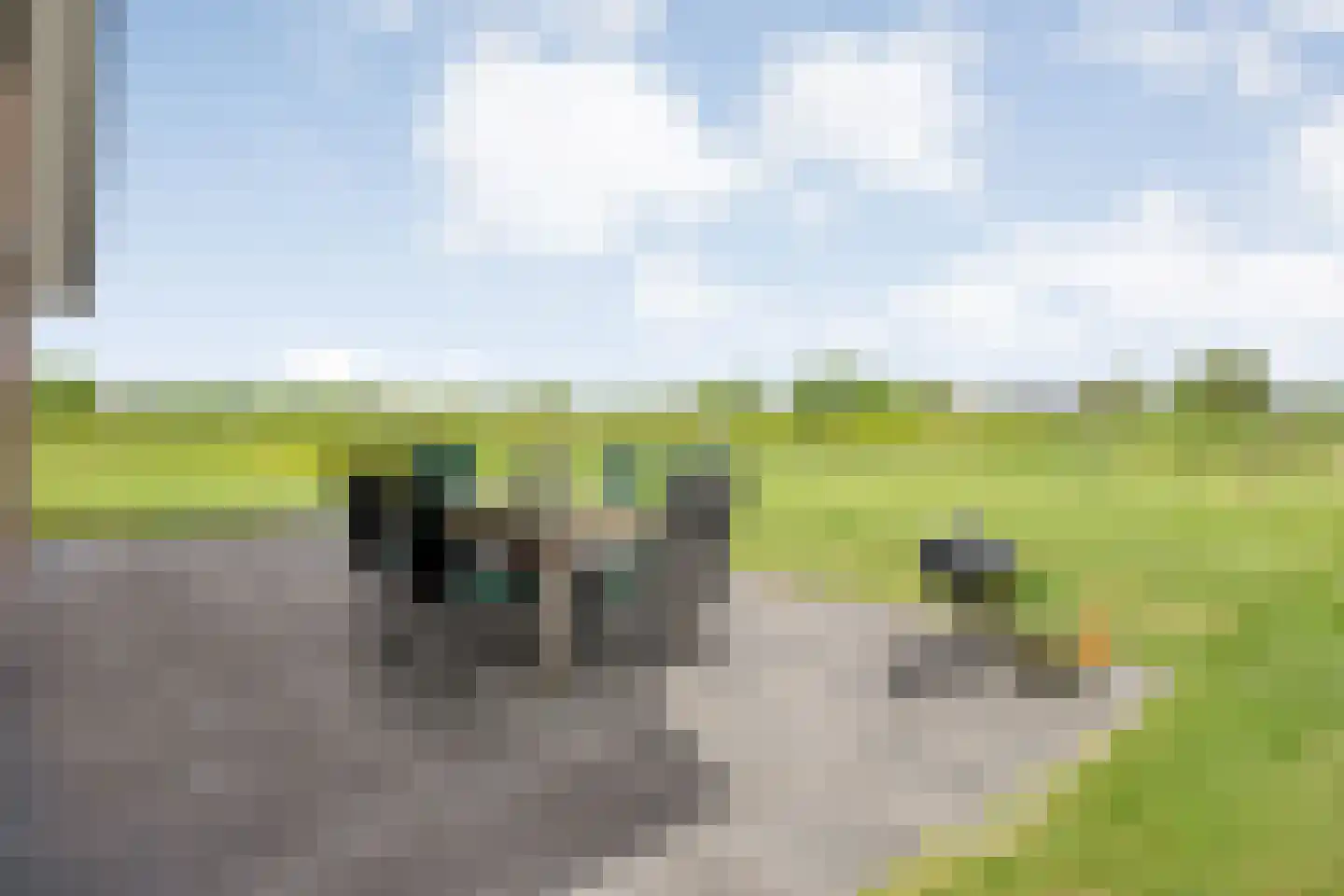 Kleefegge 23 Zuidwolde thumbnail 72