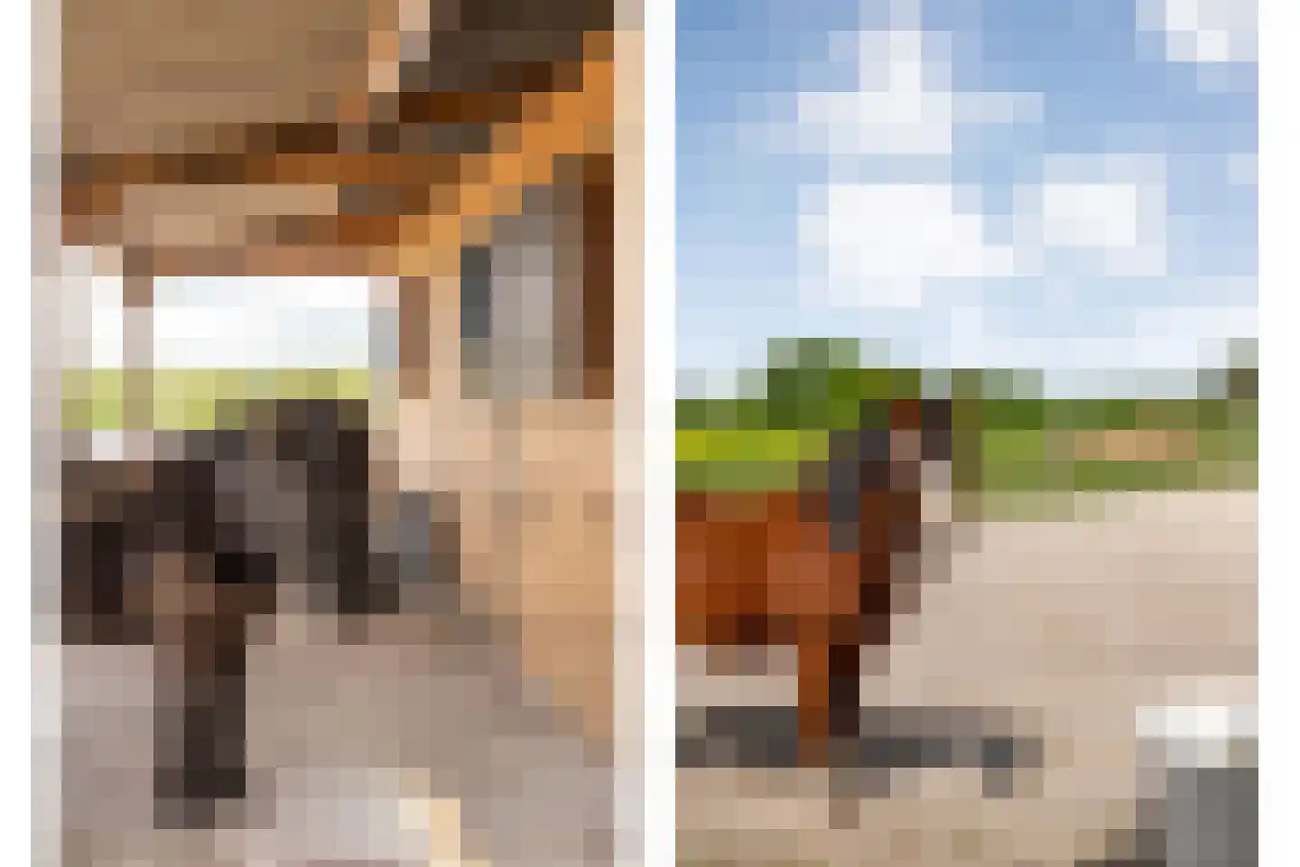 Kleefegge 23 Zuidwolde thumbnail 81