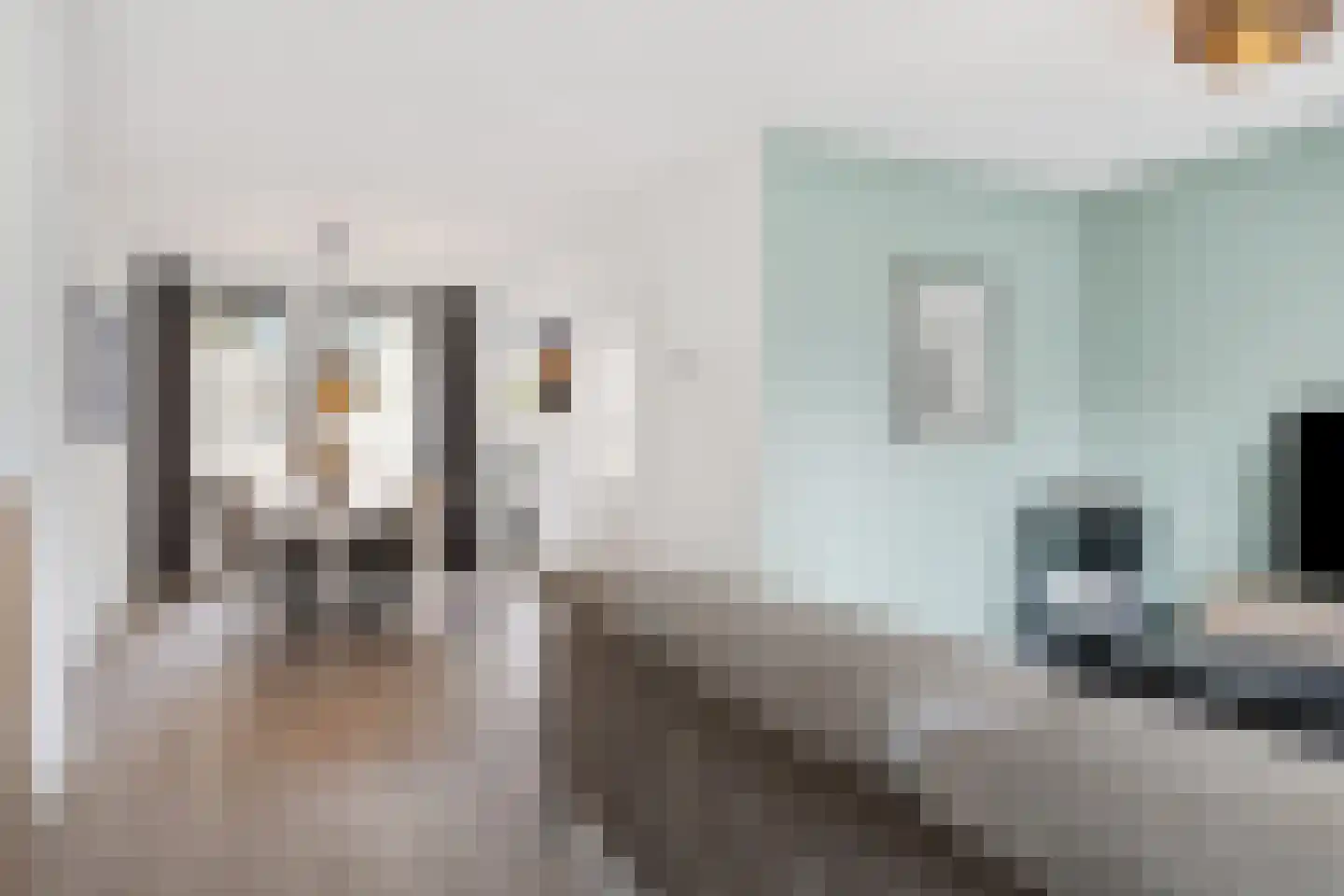 Kleefkruid 1 Cuijk thumbnail 10