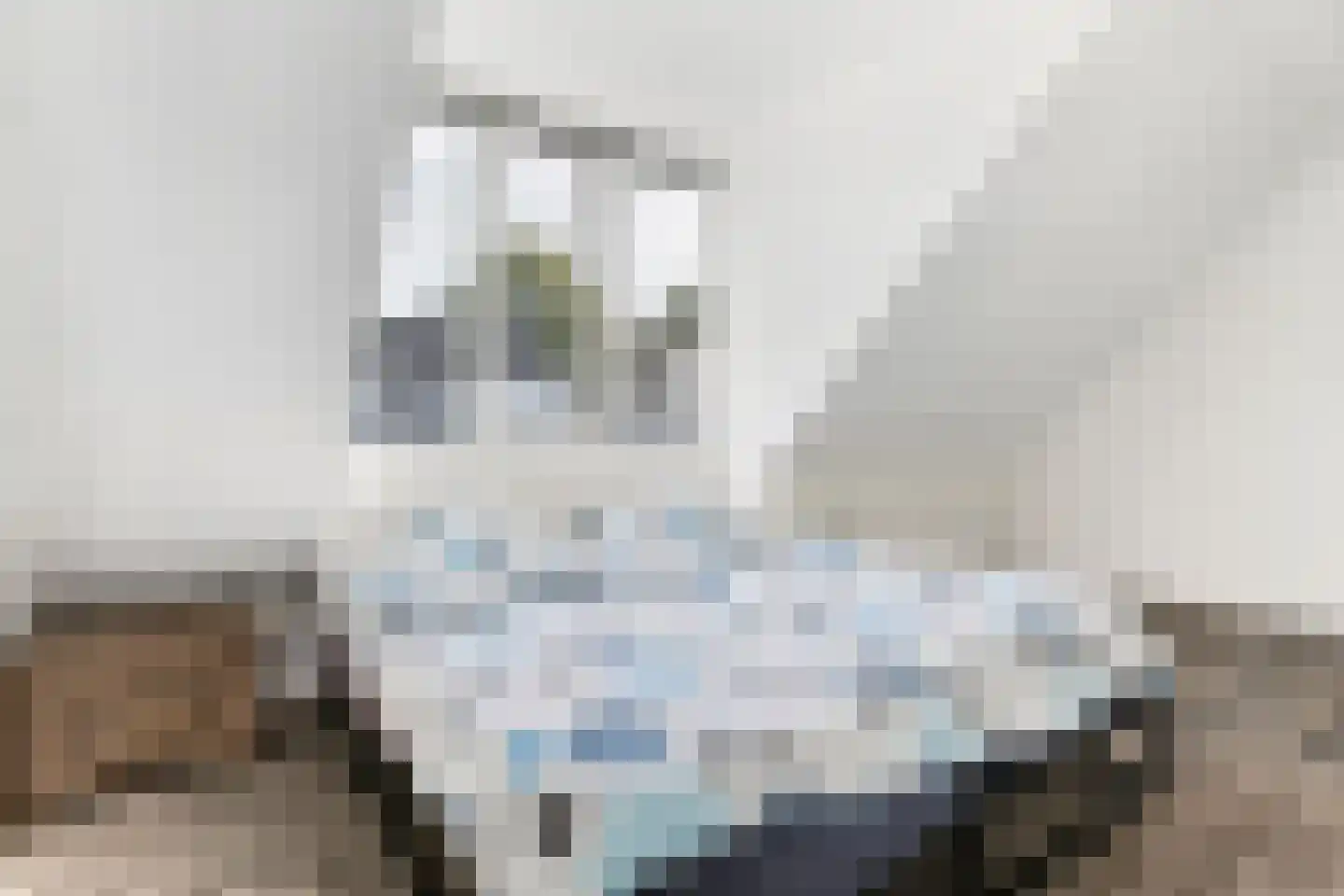 Kleefkruid 1 Cuijk thumbnail 18