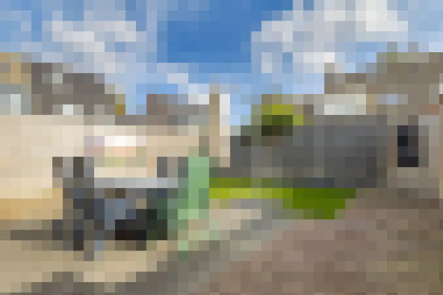 Kleefkruid 1 Cuijk thumbnail 28