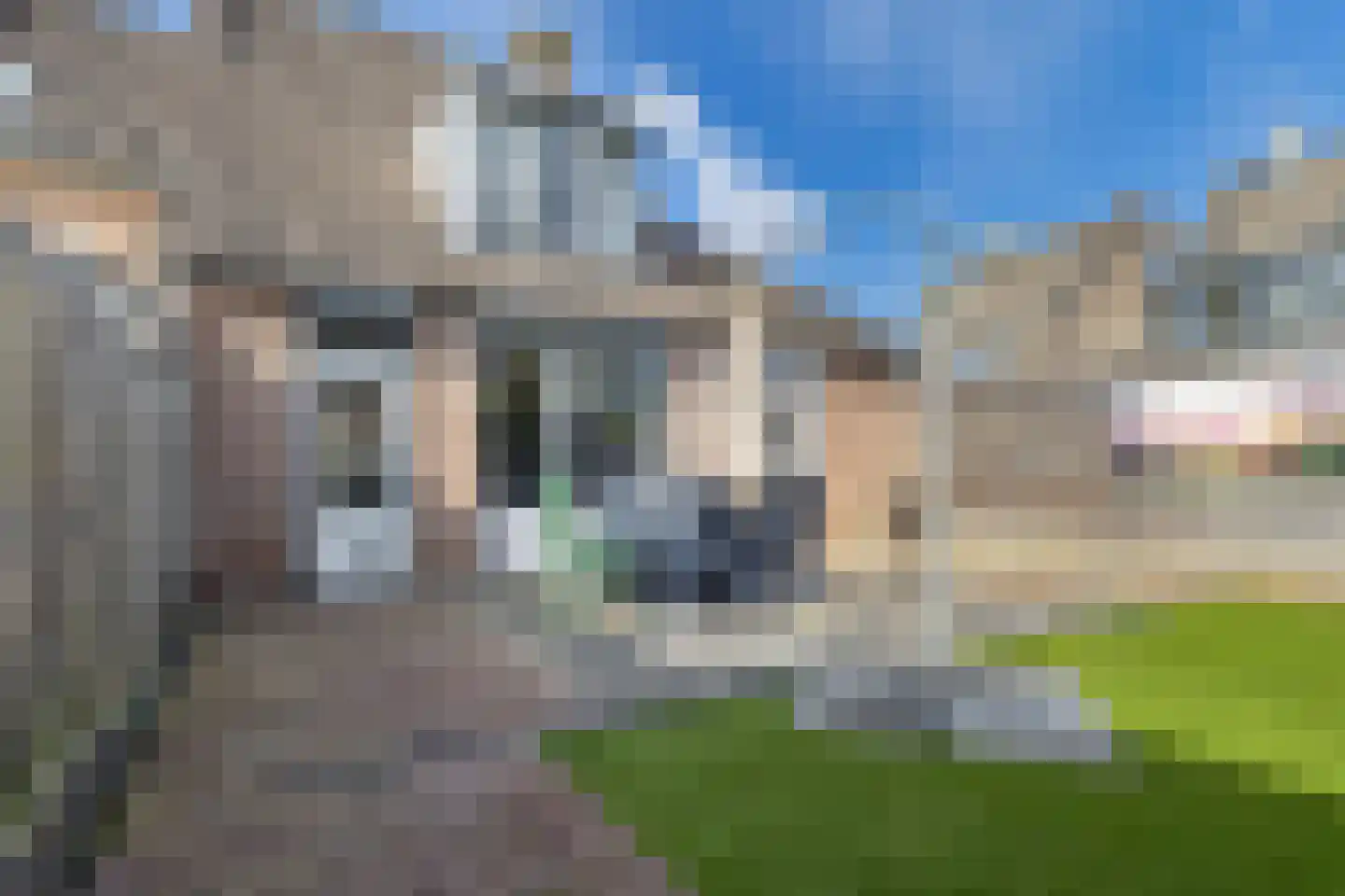 Kleefkruid 1 Cuijk thumbnail 29