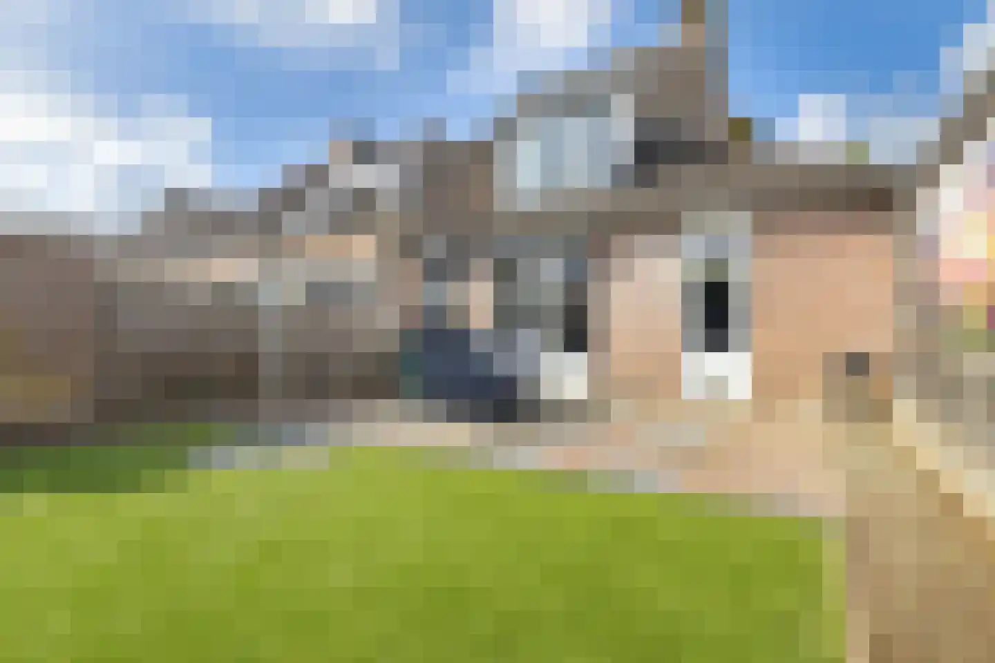 Kleefkruid 1 Cuijk thumbnail 30