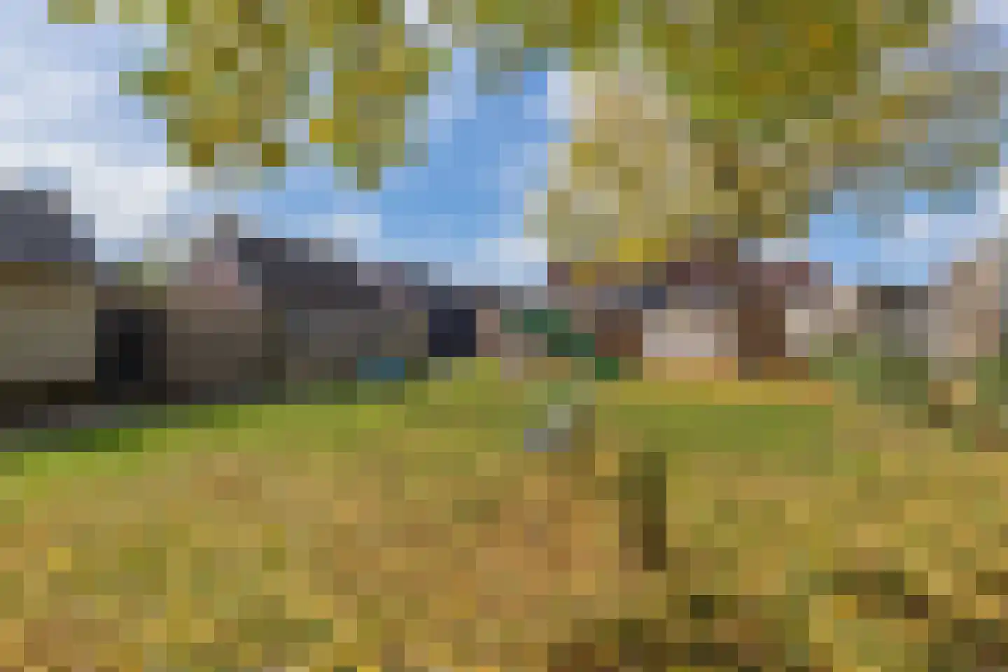 Kleefkruid 1 Cuijk thumbnail 33