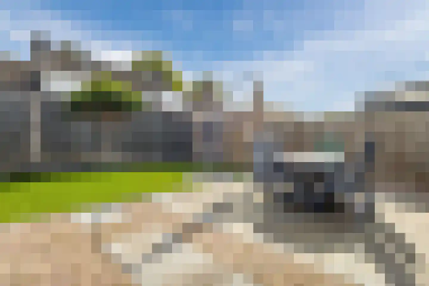 Kleefkruid 1 Cuijk thumbnail 4