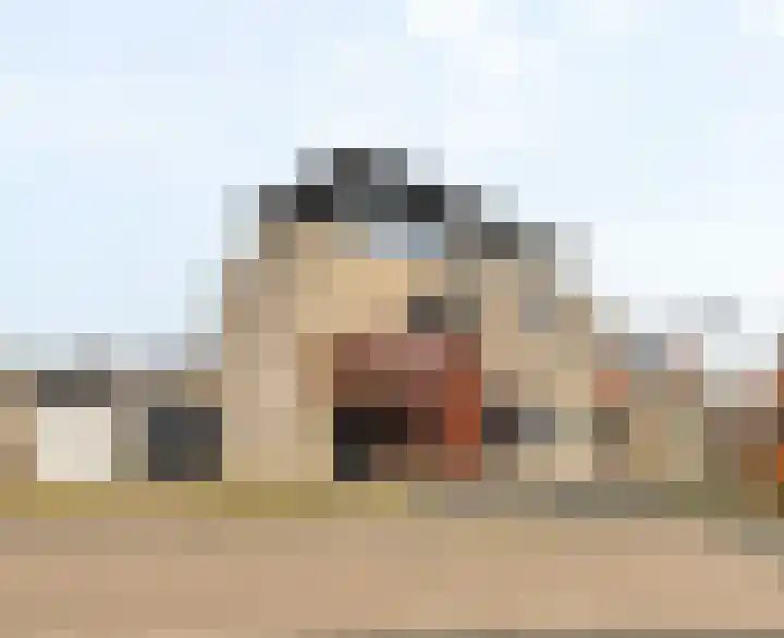 Kleefkruid 11 in Venray