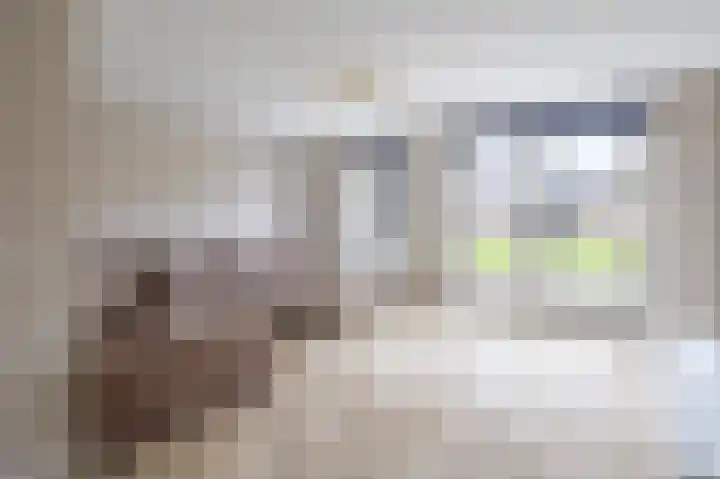 Kleefkruid 11 Venray thumbnail 13