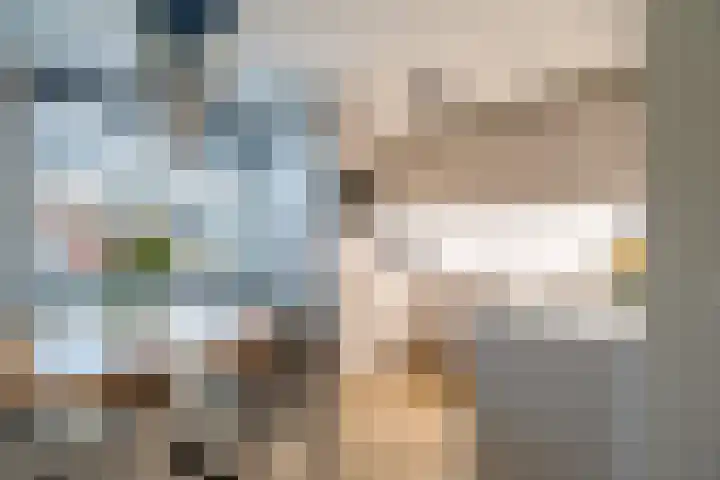 Kleefkruid 11 Venray thumbnail 4