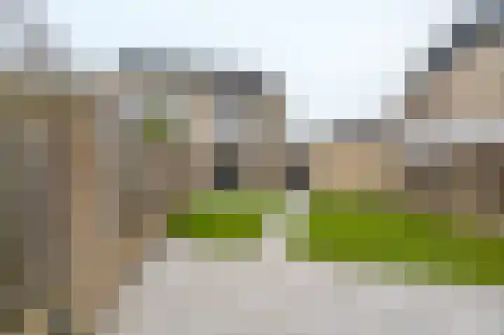 Kleefkruid 11 Venray thumbnail 41