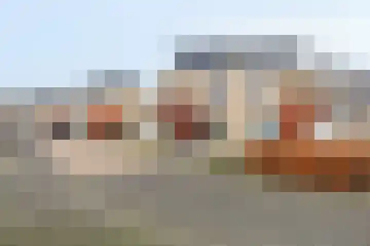 Kleefkruid 11 Venray thumbnail 5