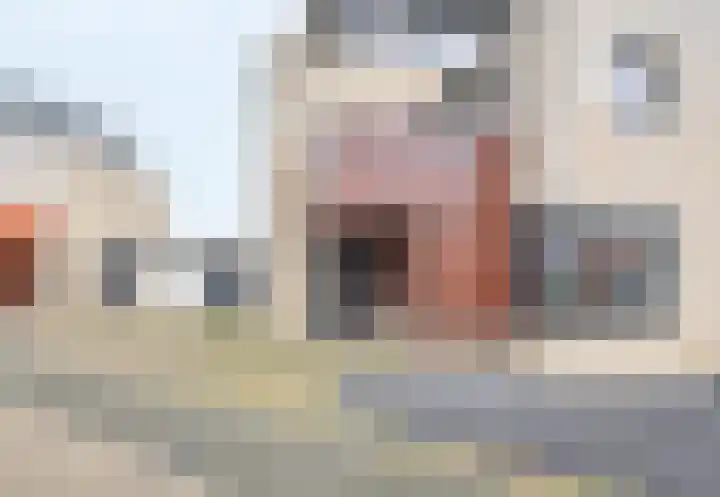 Kleefkruid 11 Venray thumbnail 6