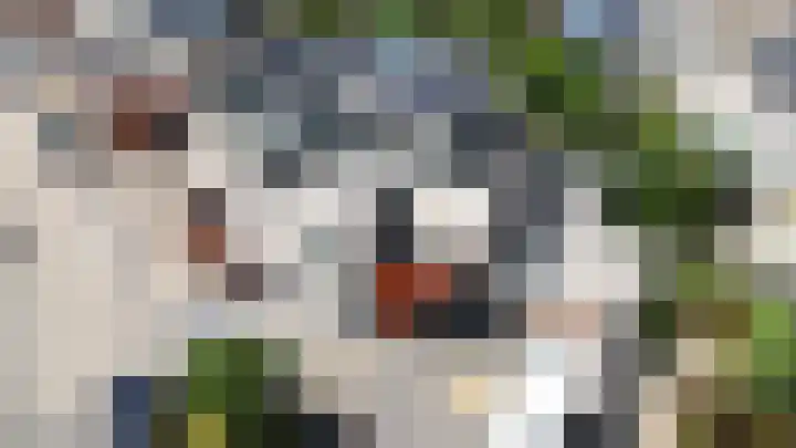 Kleefkruid 13 in Venray