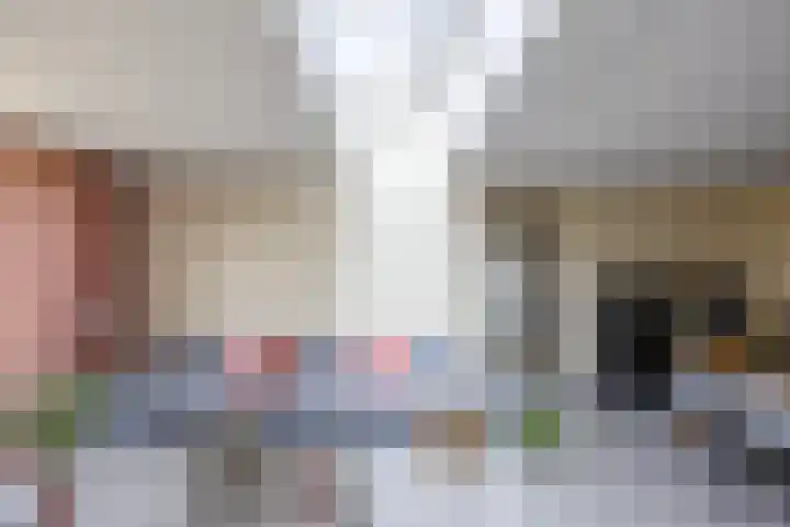 Kleefkruid 13 Venray thumbnail 13