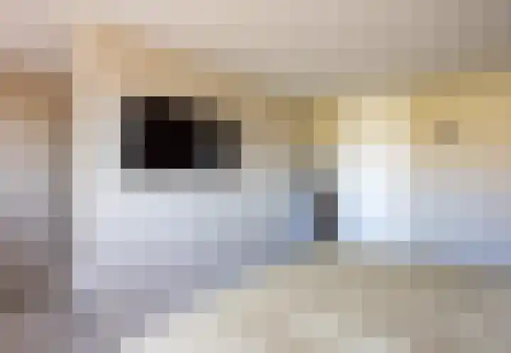 Kleefkruid 13 Venray thumbnail 33