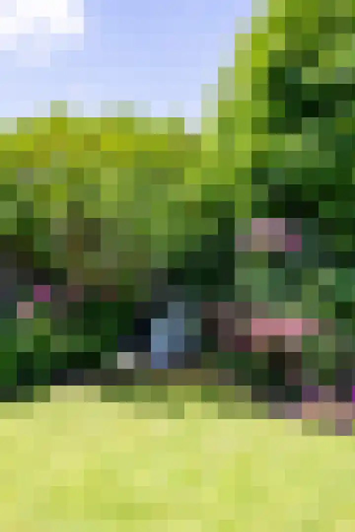Kleefkruid 13 Venray thumbnail 52