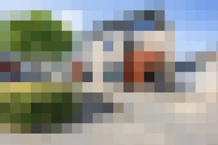 Kleefkruid 13 Venray thumbnail 53
