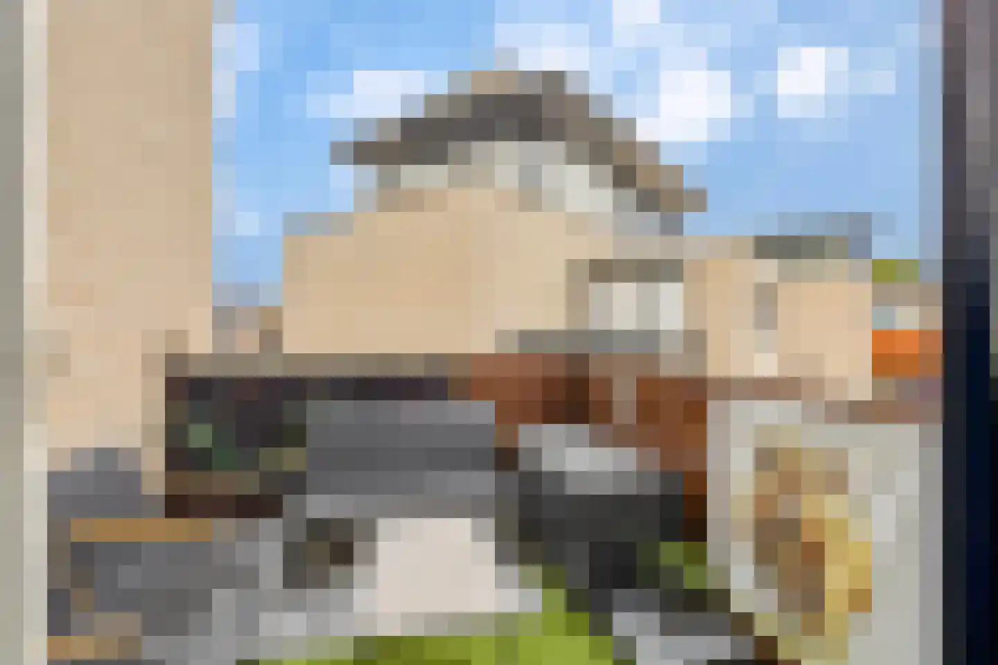 Kleefkruid 16 Venray thumbnail 19
