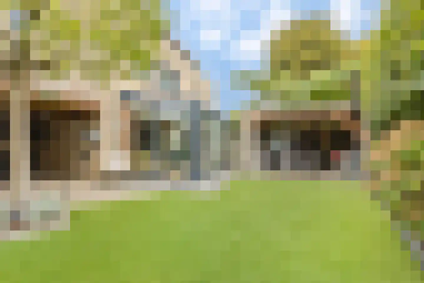 Kleefkruid 16 Venray thumbnail 30
