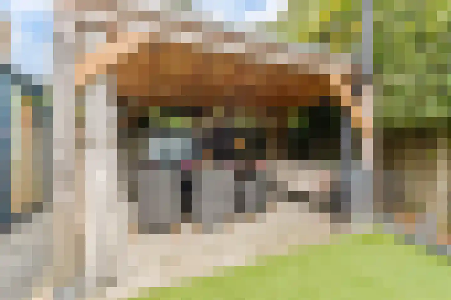Kleefkruid 16 Venray thumbnail 31