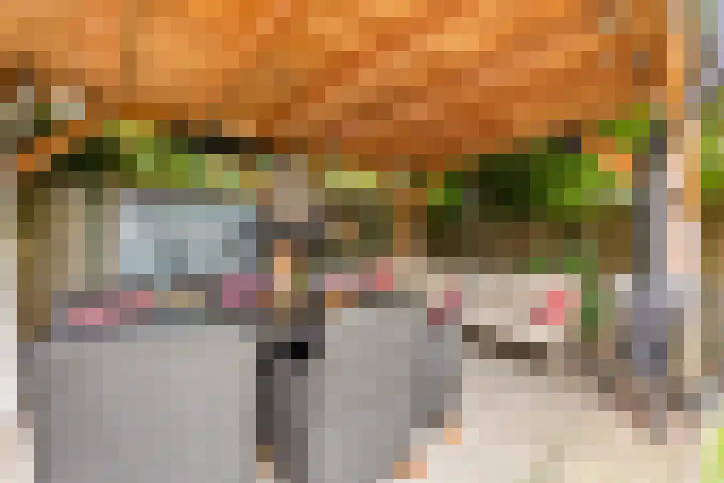 Kleefkruid 16 Venray thumbnail 32