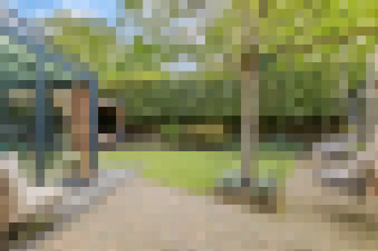 Kleefkruid 16 Venray thumbnail 35