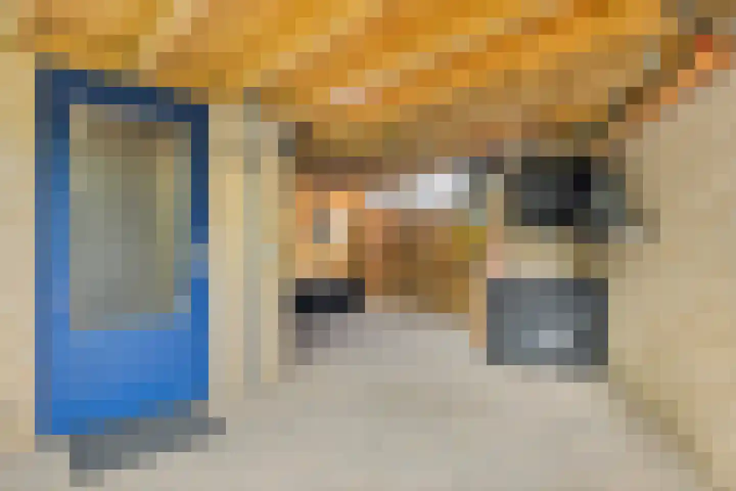 Kleefkruid 16 Venray thumbnail 36