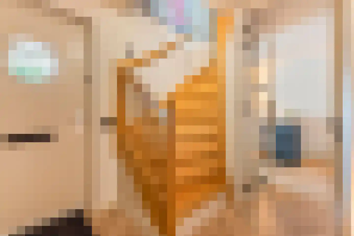 Kleefkruid 16 Venray thumbnail 4