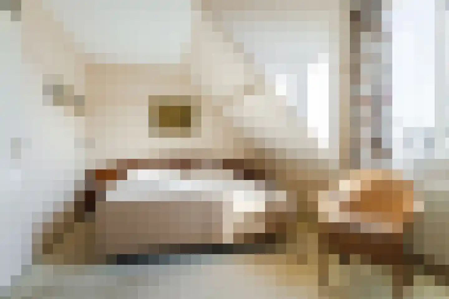 Kleefkruid 23 Cuijk thumbnail 14
