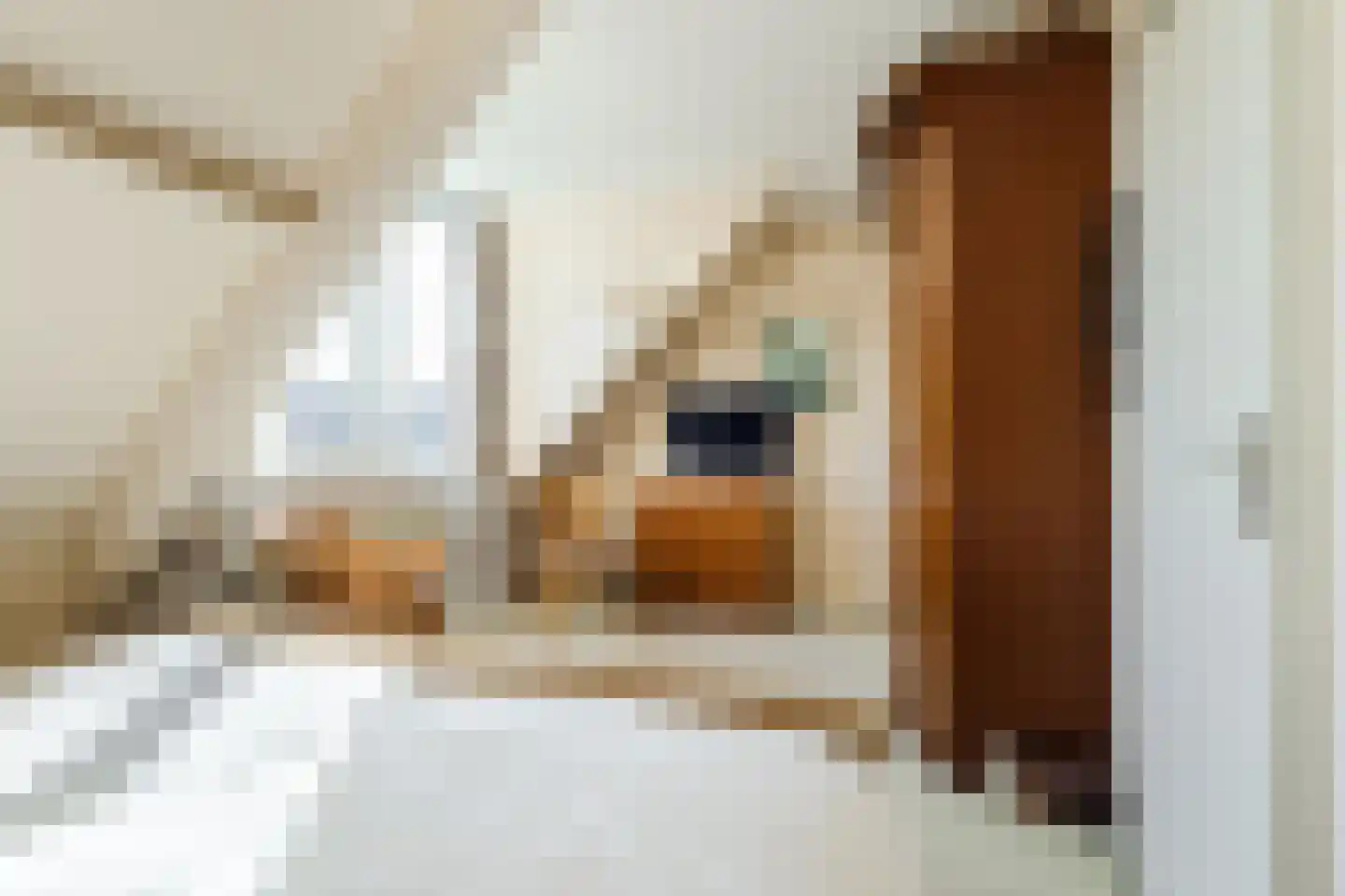 Kleefkruid 23 Cuijk thumbnail 15