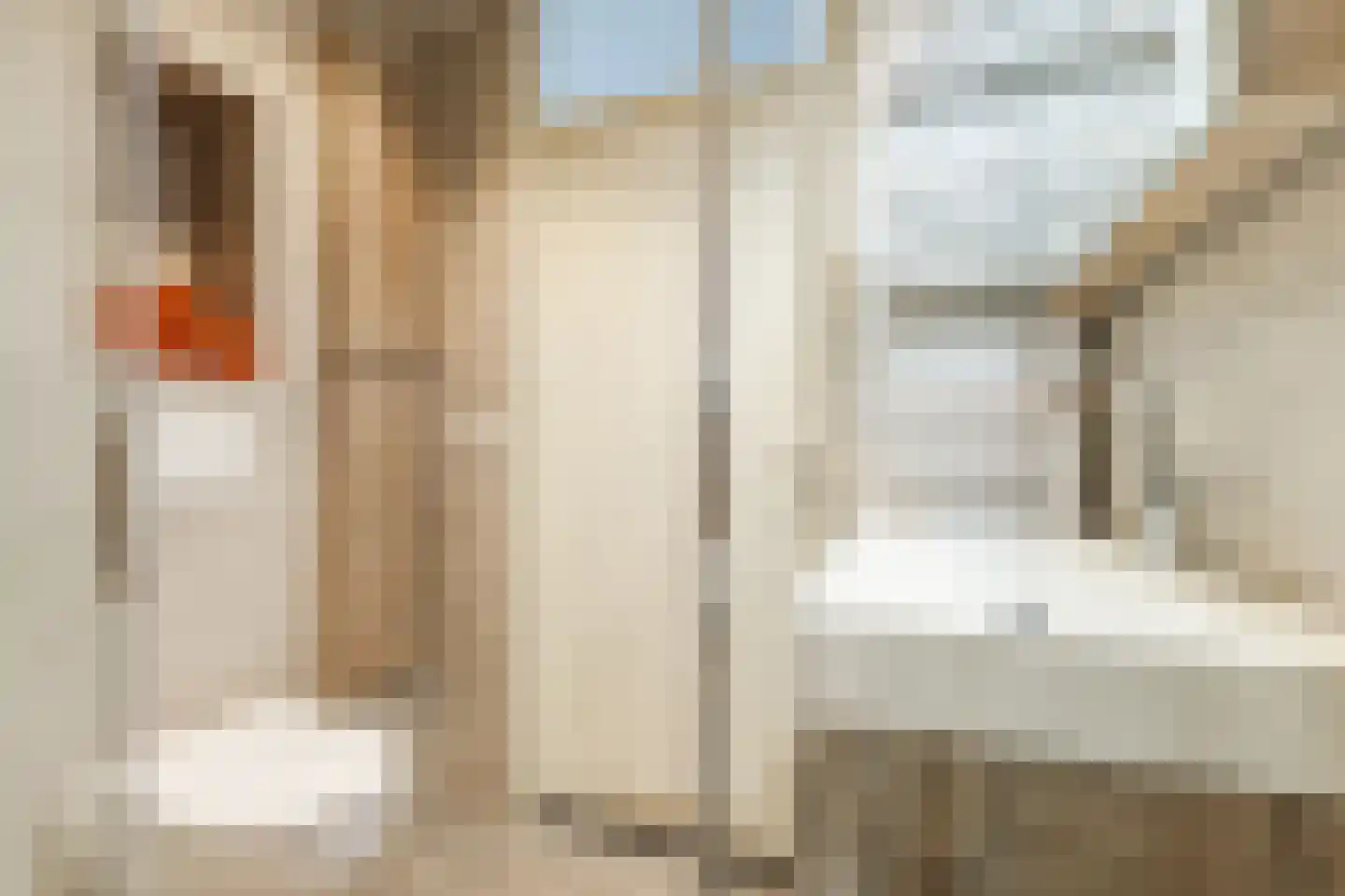 Kleefkruid 23 Cuijk thumbnail 21