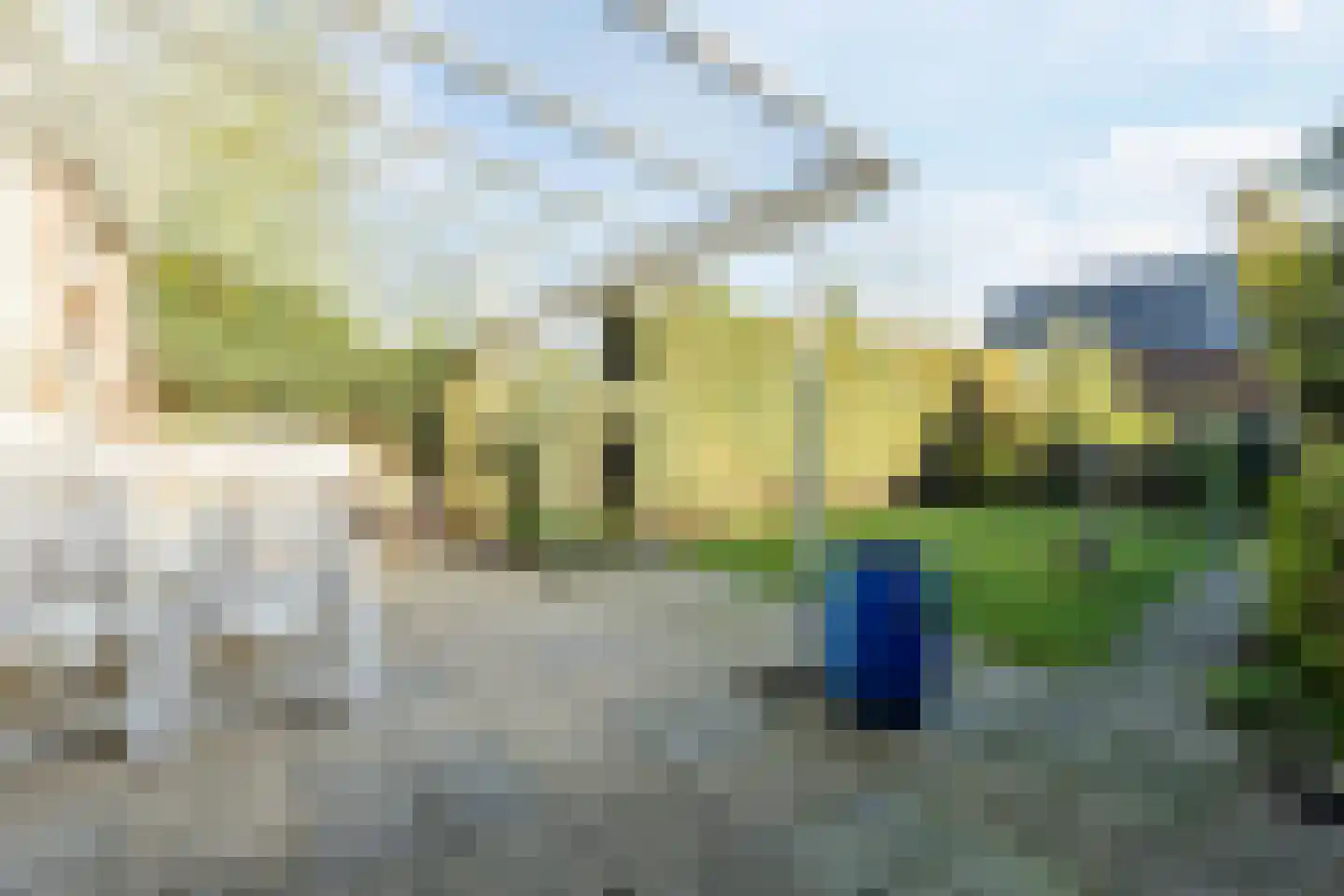 Kleefkruid 23 Cuijk thumbnail 26