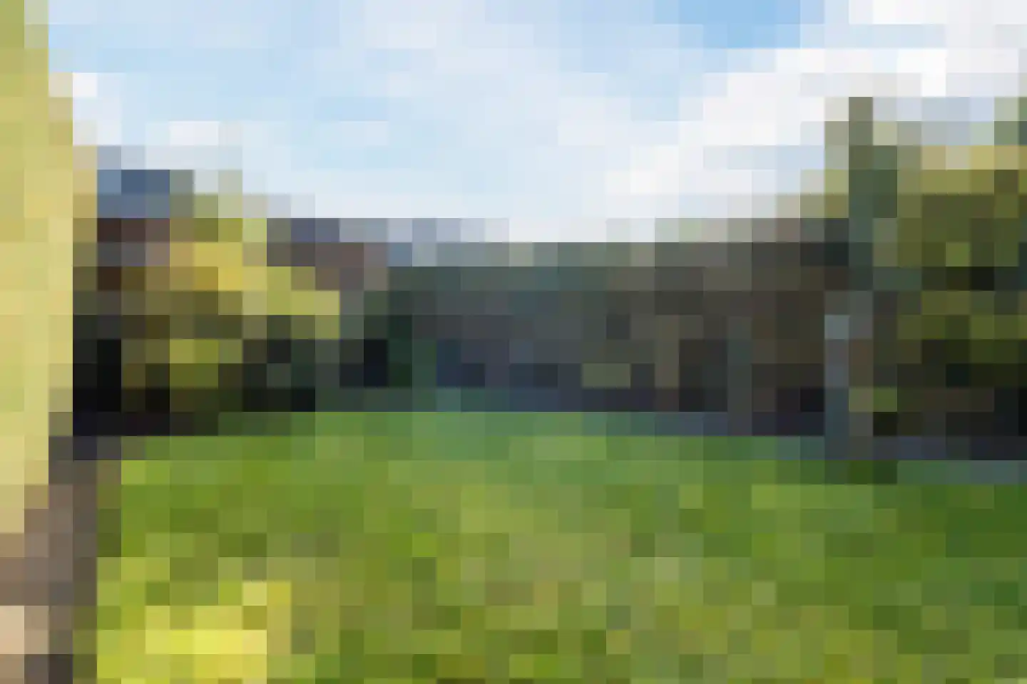 Kleefkruid 23 Cuijk thumbnail 28